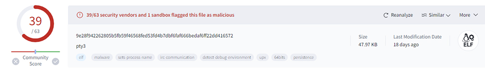 VirusTotal Scan of 'pty3' Binary File