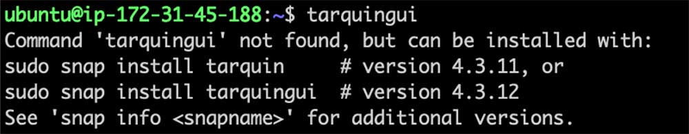 After we published a snap with the name ‘tarquingui’